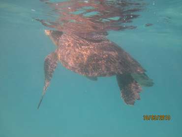 m_IMG_5590.jpg