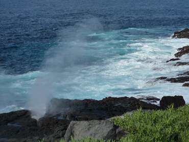 m_P1020664.jpg