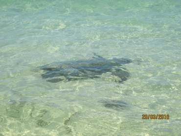 m_IMG_5740.jpg