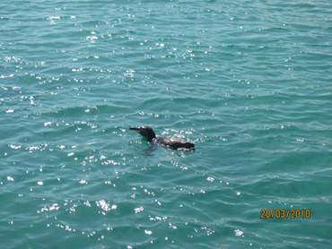 m_IMG_5689.jpg