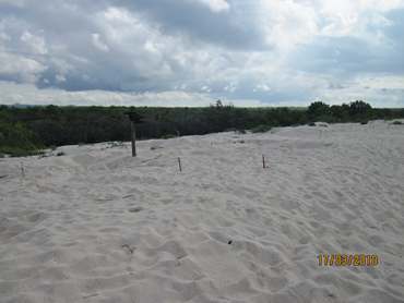 m_IMG_5527.jpg