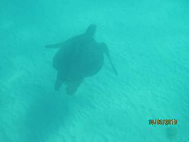 m_IMG_5586.jpg