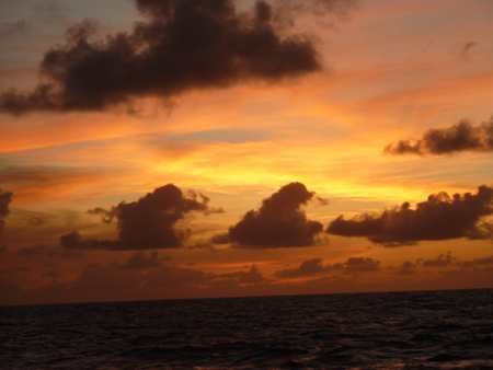 m_P1020753.jpg