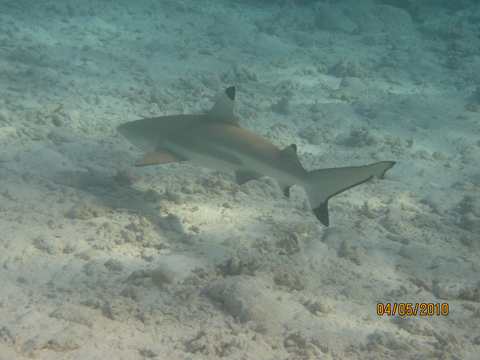 m_IMG_6176.jpg