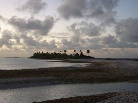 m_P1020957.jpg