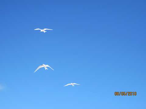 m_IMG_6216.jpg