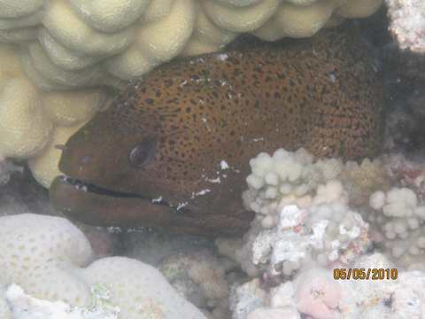 m_IMG_6185.jpg