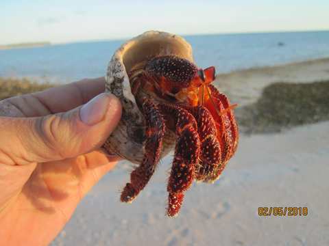 m_IMG_6117.jpg