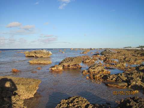 m_IMG_6115.jpg