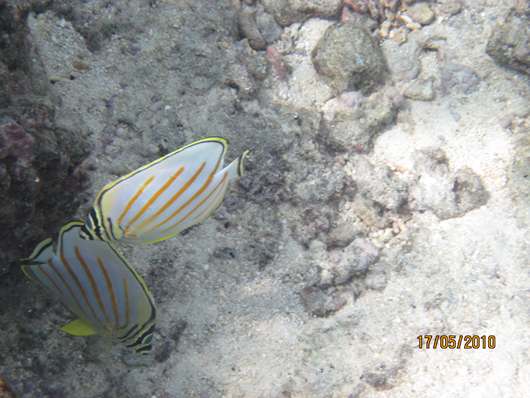 m_IMG_6446.jpg