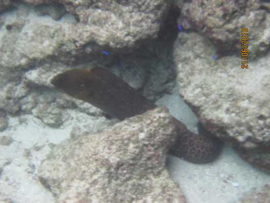 m_IMG_7133.jpg
