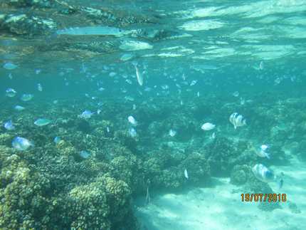 m_IMG_7535.jpg