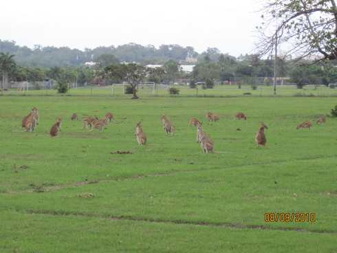 m_IMG_8208.jpg