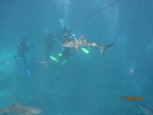 m_IMG_8339.jpg