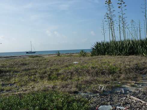 m_P1040151.jpg