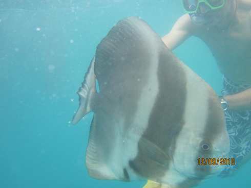 m_IMG_8389.jpg