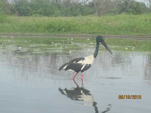 m_IMG_8713.jpg