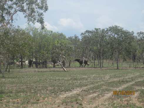 m_IMG_8734.jpg