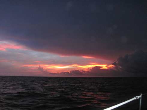 m_IMG_8907.jpg