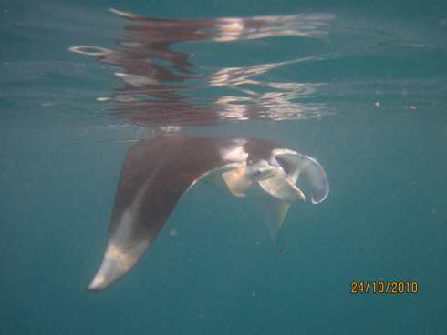 m_IMG_9064.jpg
