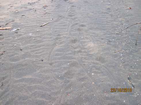 m_IMG_9033.jpg