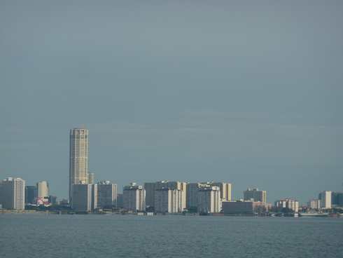 m_P1040920.jpg