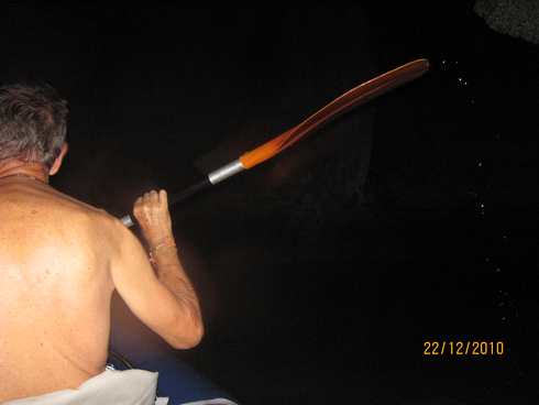 m_IMG_9978.jpg