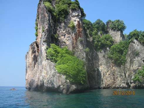 m_IMG_0080.jpg