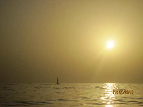 m_IMG_1059.jpg
