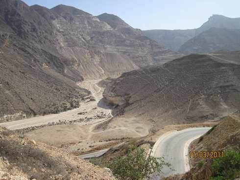 m_IMG_1468.jpg