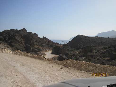 m_IMG_1471.jpg