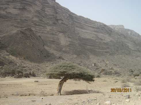 m_IMG_1550.jpg