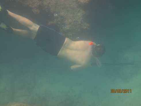 m_IMG_1530.jpg