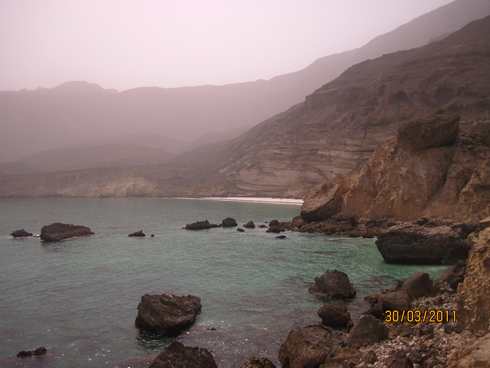 m_IMG_1544.jpg