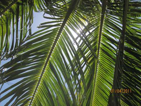 m_IMG_1557.jpg