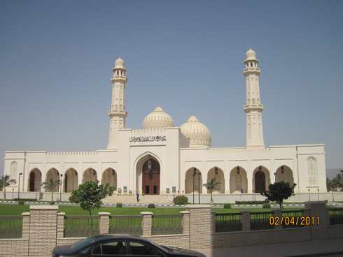 m_IMG_1563.jpg