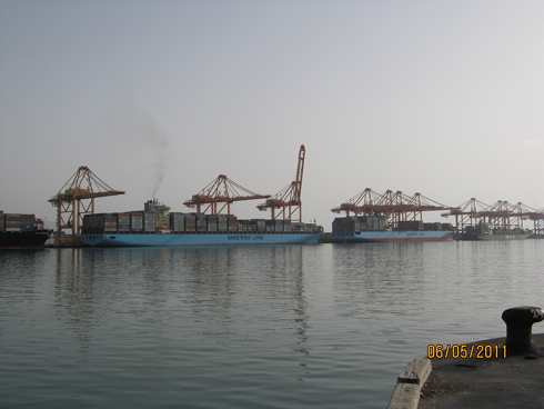 m_IMG_0186.jpg