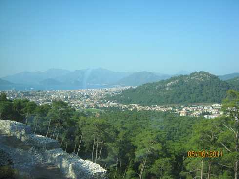 m_IMG_0686.jpg