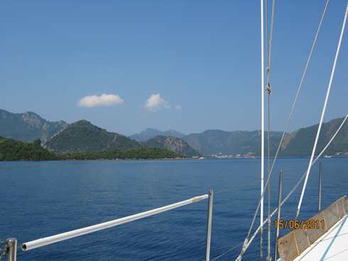m_IMG_0772.jpg