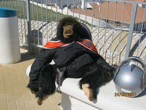 m_IMG_1910.jpg