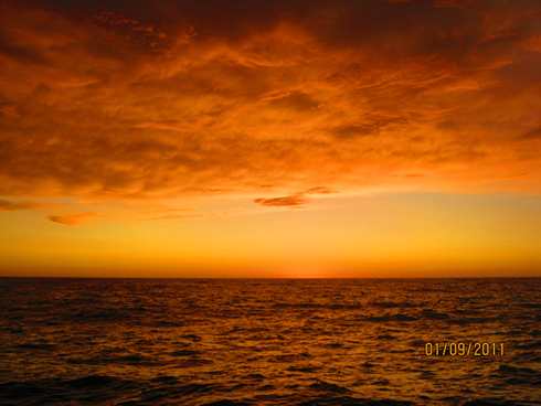 m_IMG_1995.jpg