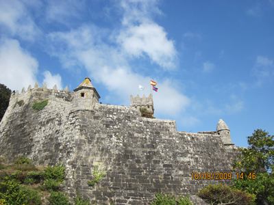 m_IMG_0365.jpg