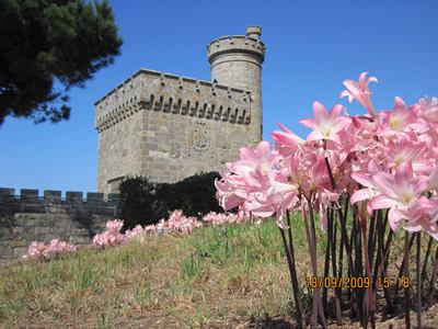m_IMG_0371.jpg