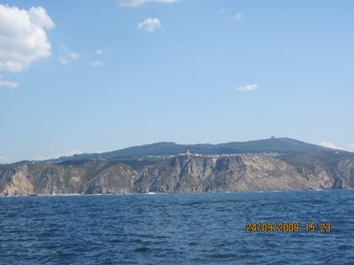 m_IMG_0464.jpg