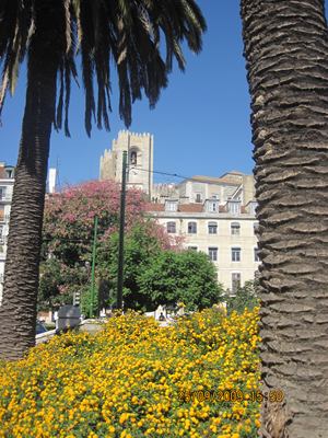 m_IMG_0477.jpg