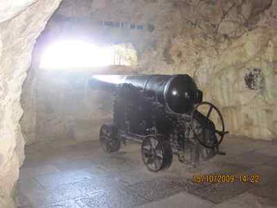 m_IMG_0689.jpg