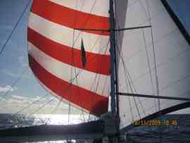 m_IMG_1058.jpg
