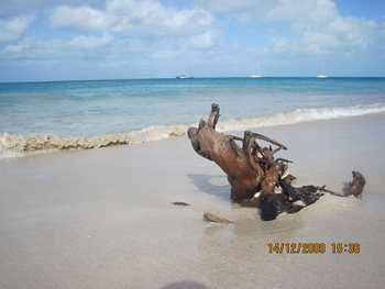 m_IMG_1166.jpg