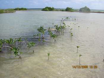 m_IMG_1164.jpg