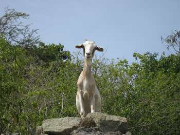 m_IMG_4529.jpg